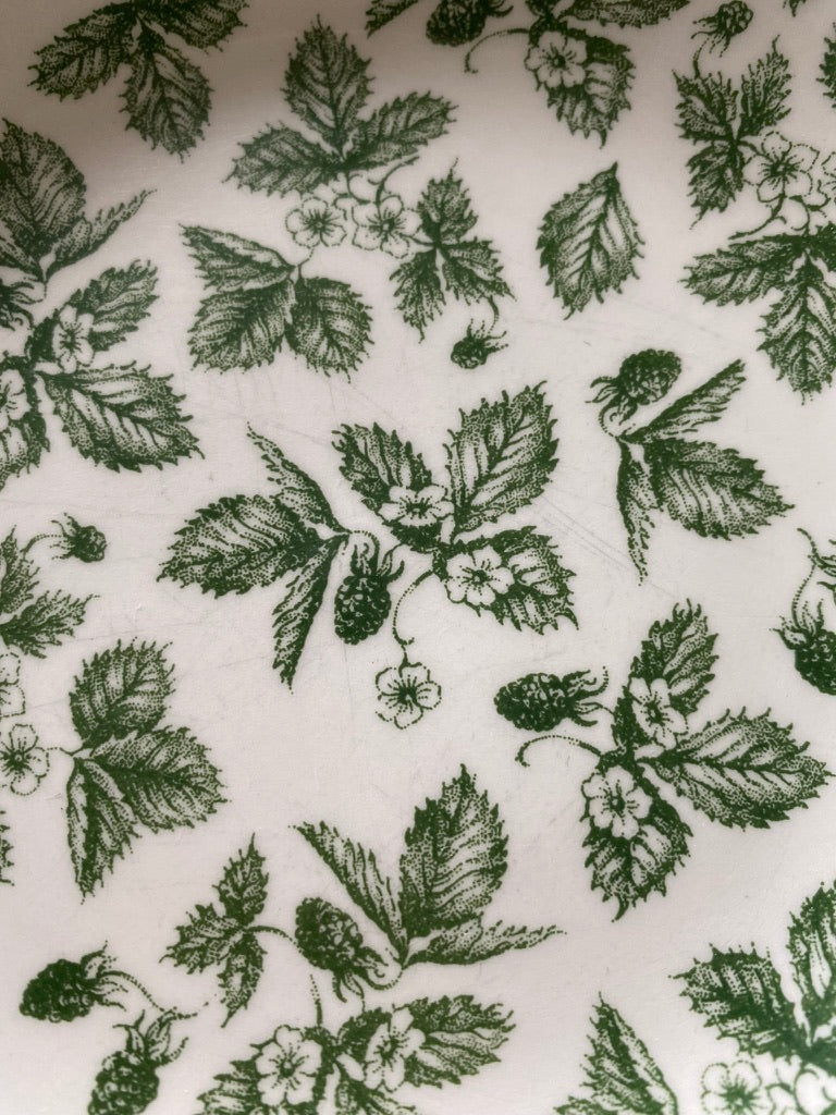 Assiettes anglaises blanc/vert