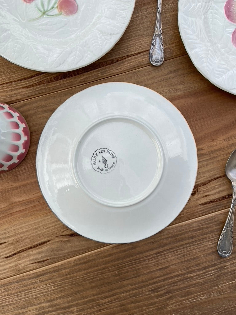 6 Assiettes Majolica Salin