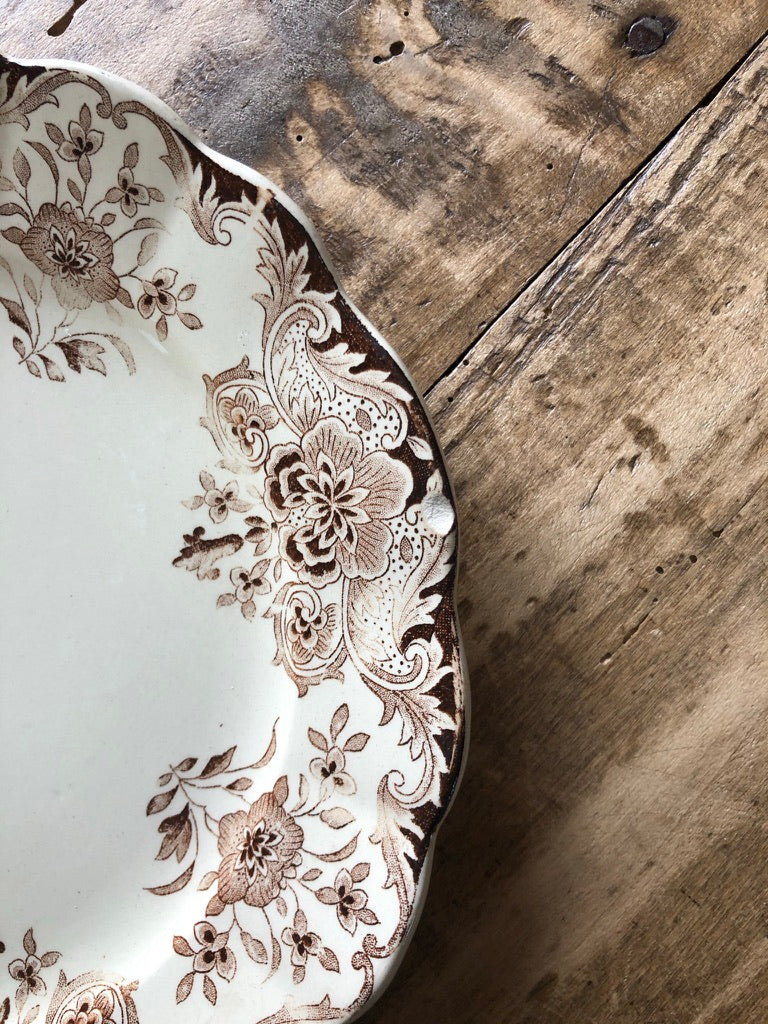 Assiettes brunes Dordrecht