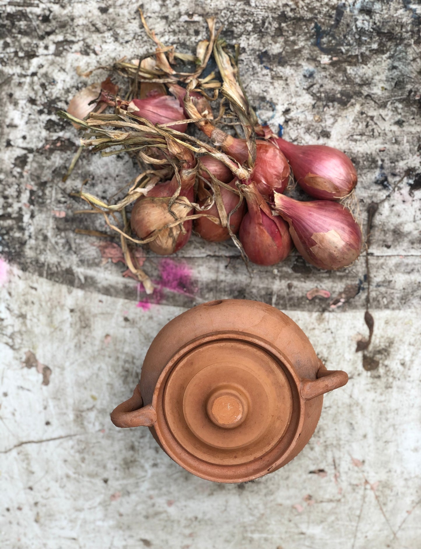 Pot à Oignons en Terre