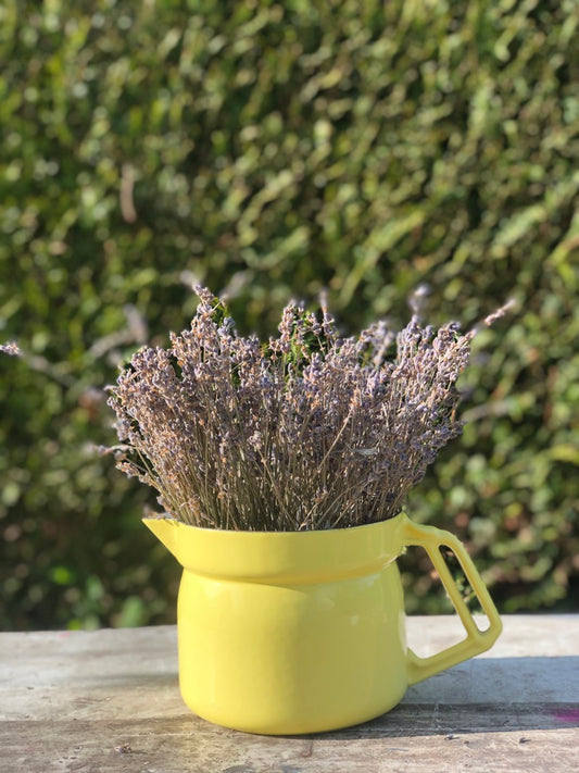 Pichet en fonte Jaune