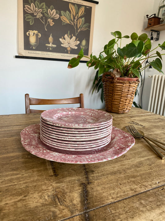 Service dessert Velvet