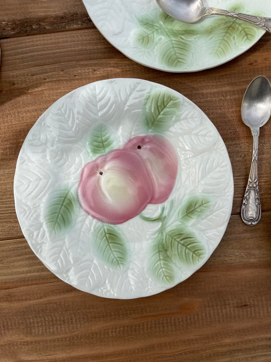 5 Assiettes Majolica Salin