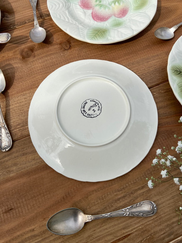 5 Assiettes Majolica Salin