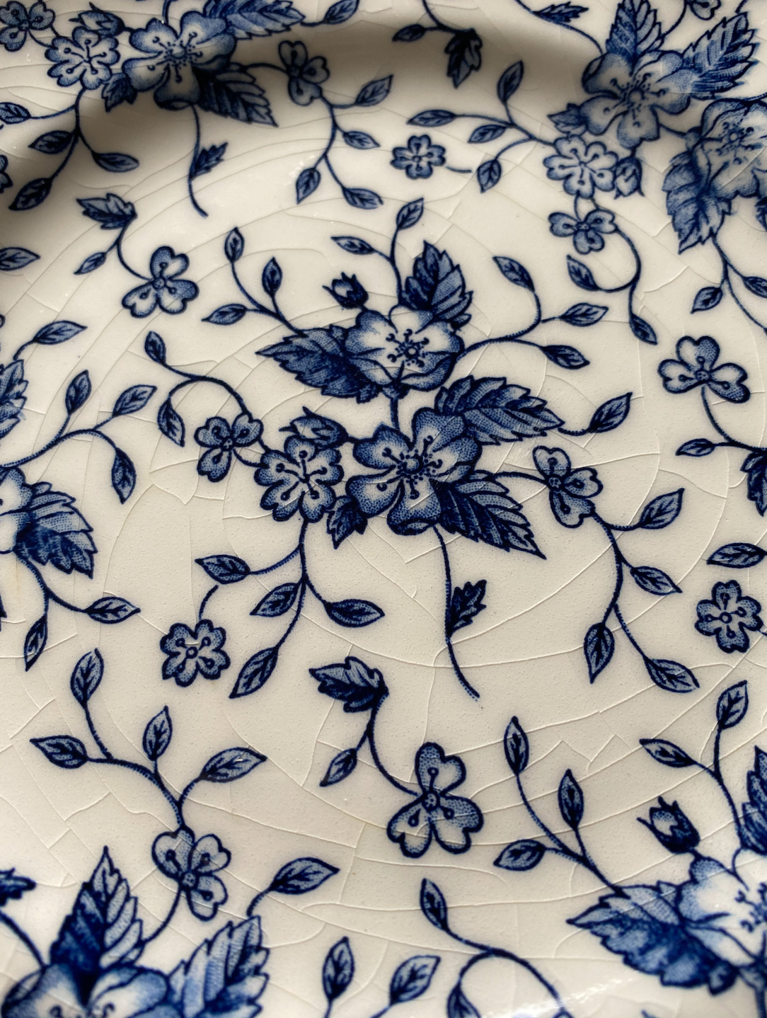 Assiettes Anglaises Royal Tudor