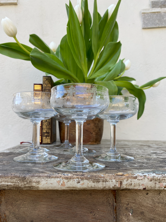 Coupes Champagne anciennes