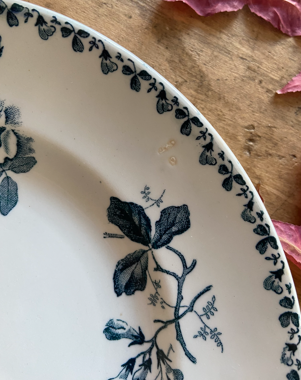 Assiettes Acacia Saint Amand