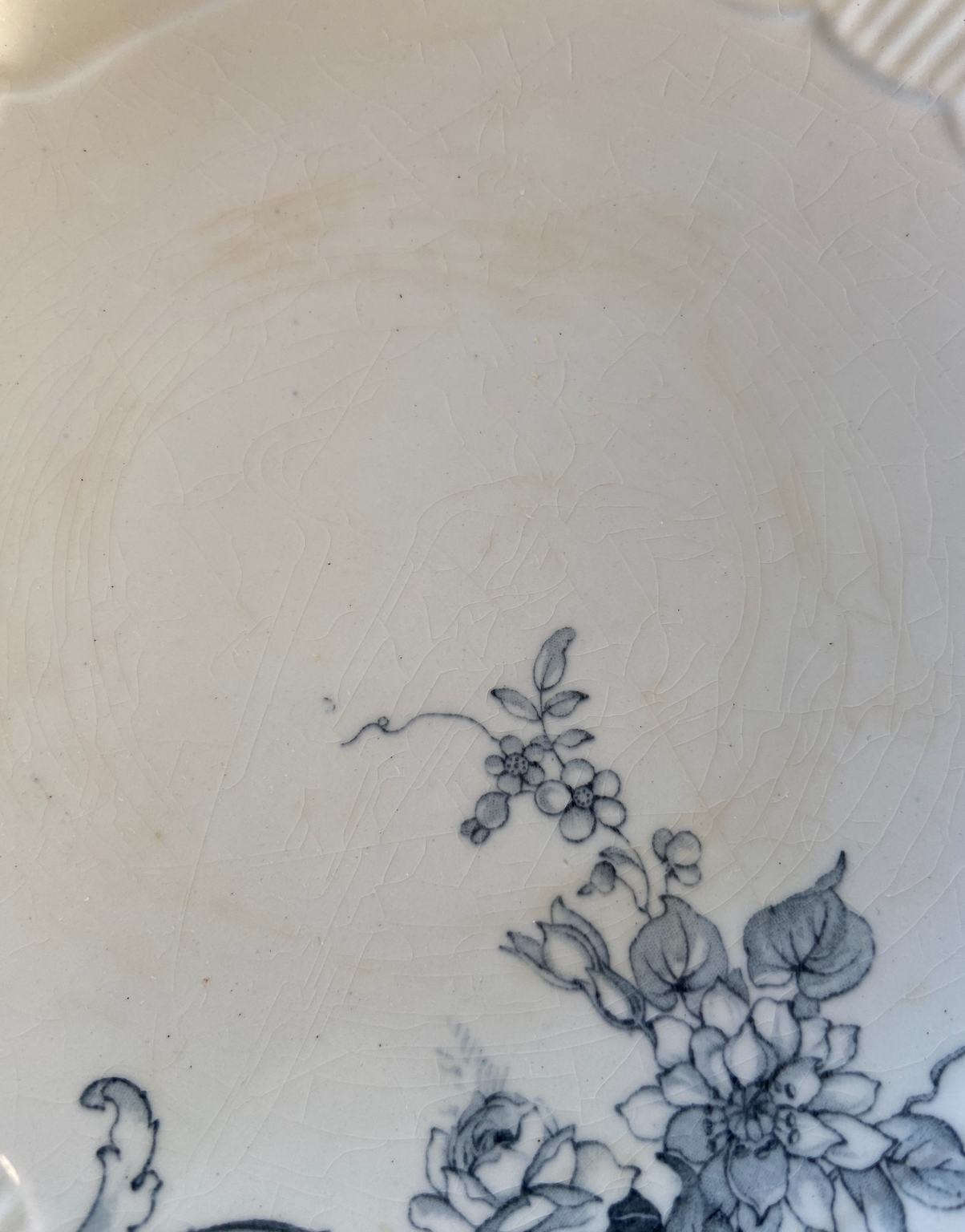 Plats sur pied Medici