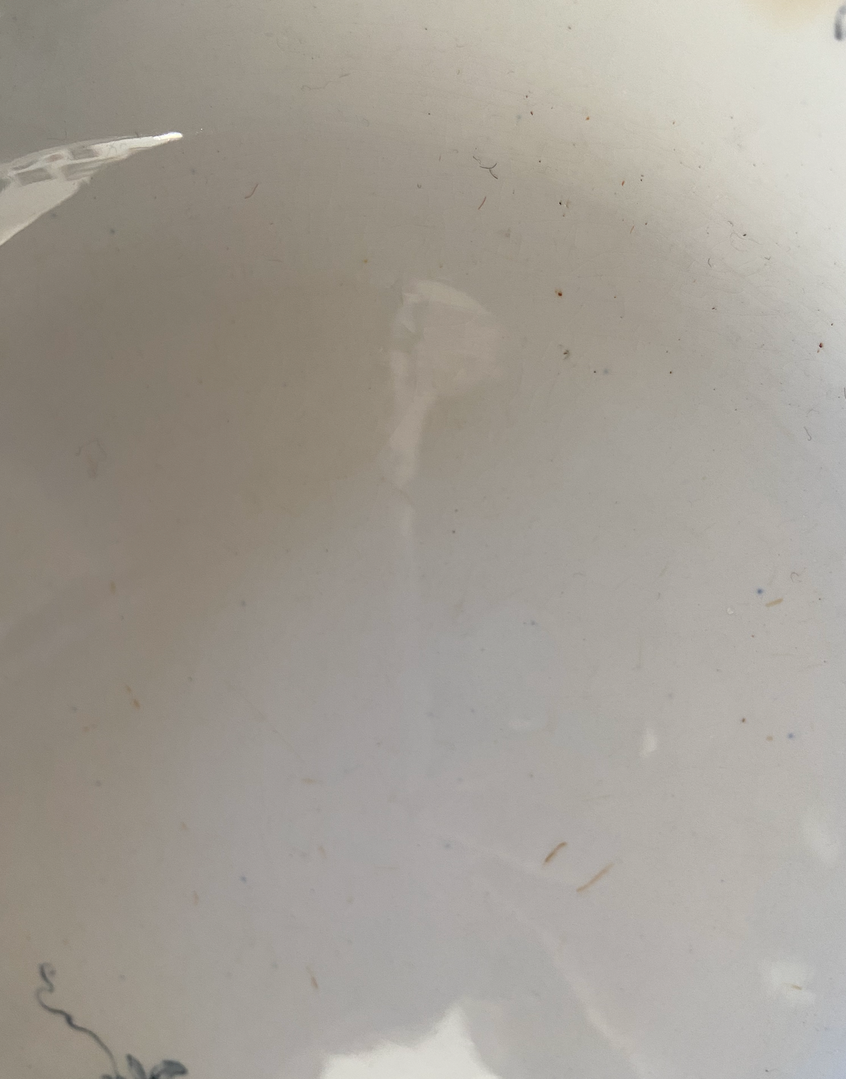 Plat rond creux Medici