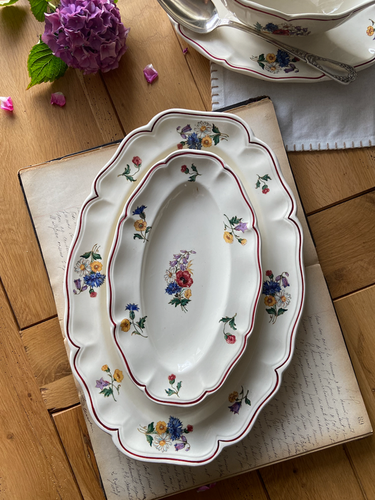 Plats Agreste, Sarreguemines