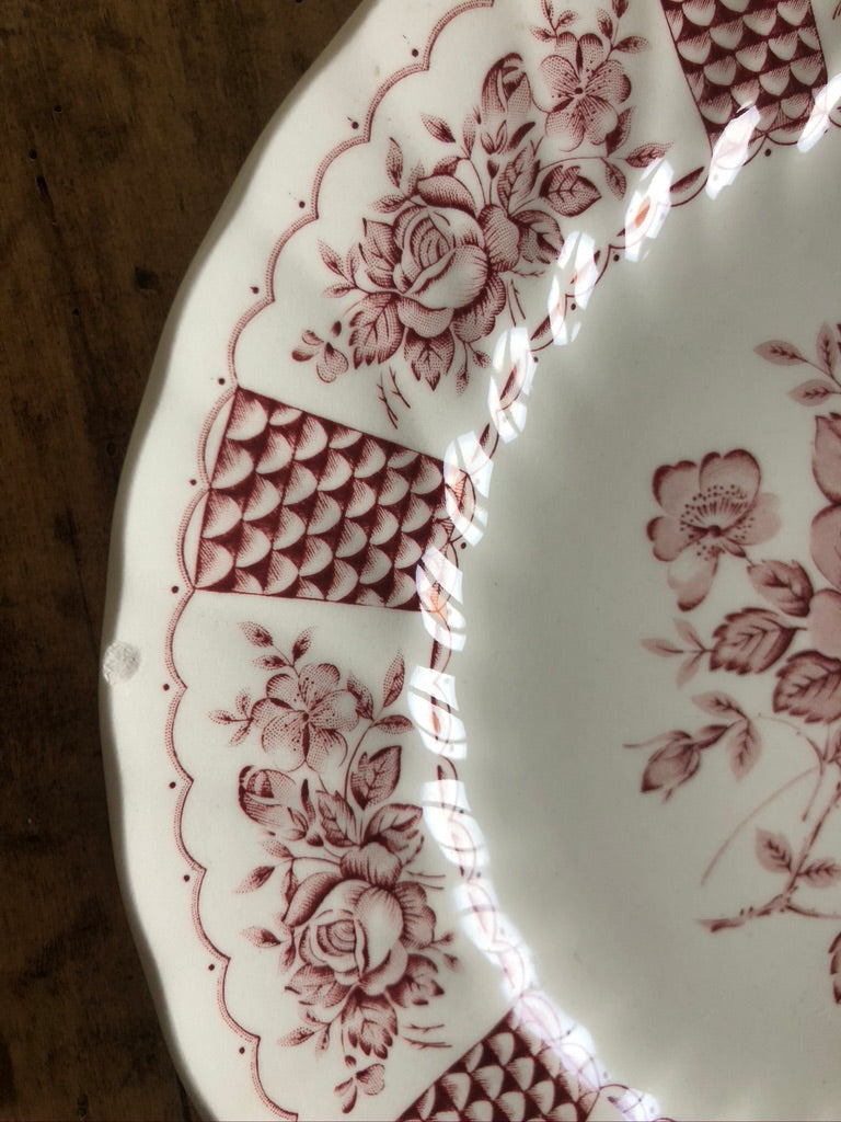 Assiettes Churchill Rose