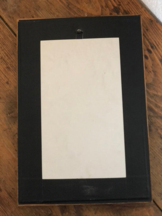 Cadre vintage avec plumes