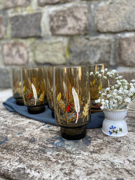 6 Verres Champêtre Vintage