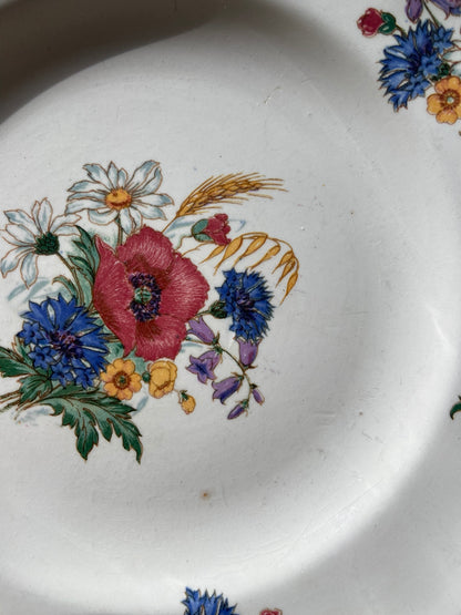 Assiettes Agreste (pour 6)