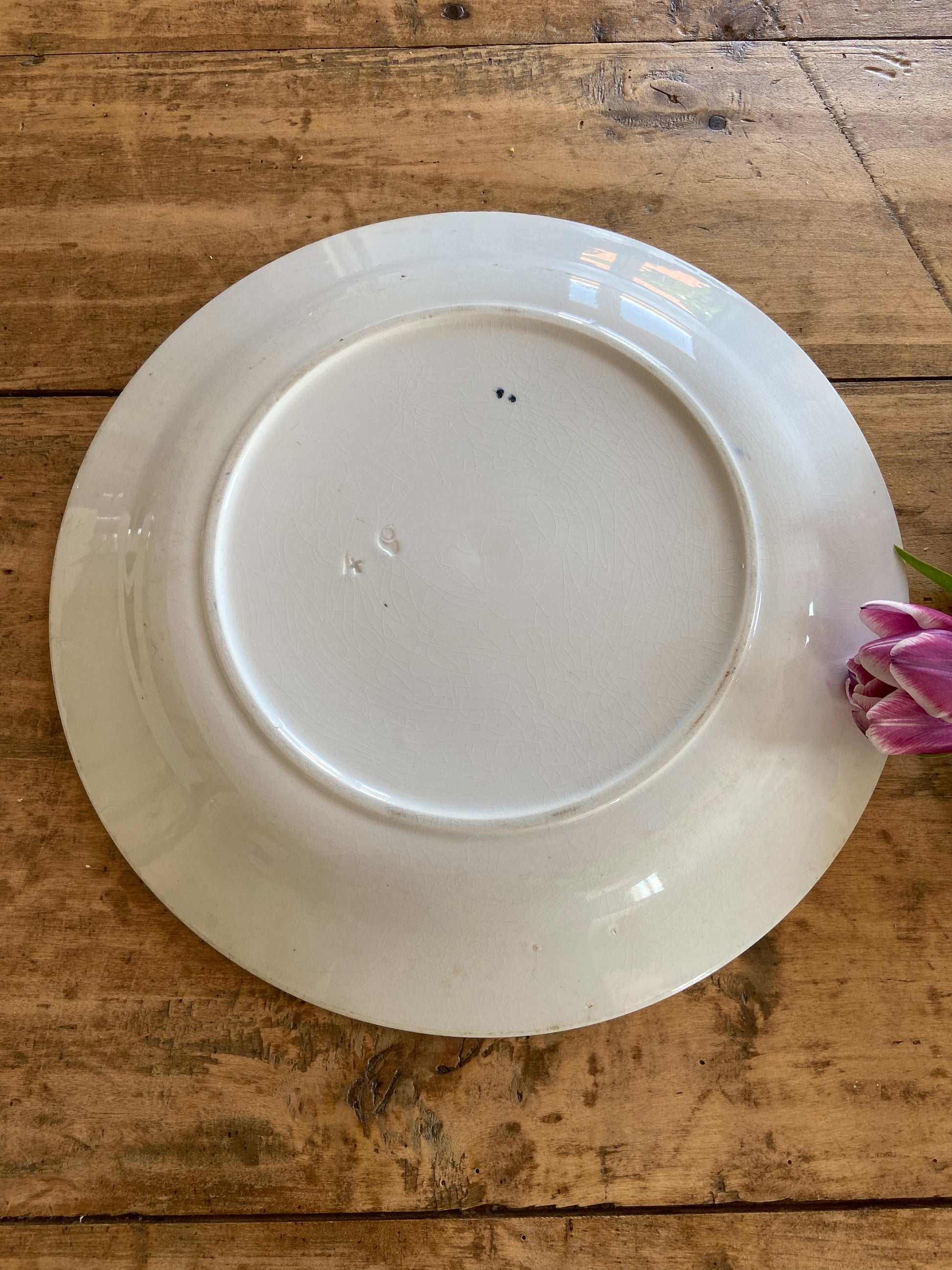 Plate Oiseaux Bruns (terre de fer)