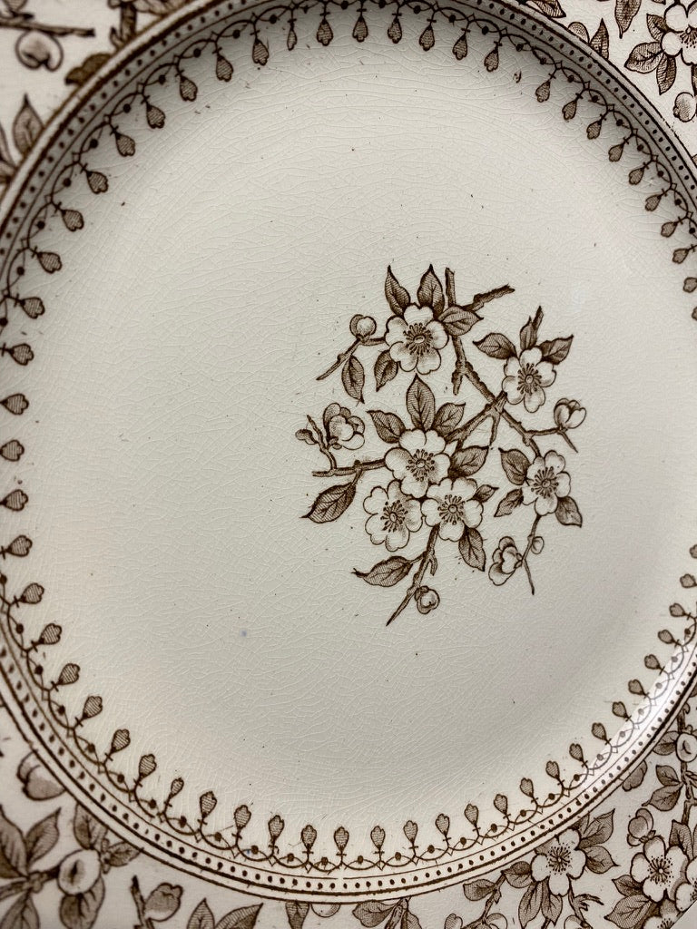 Assiettes Anglaises ALTON