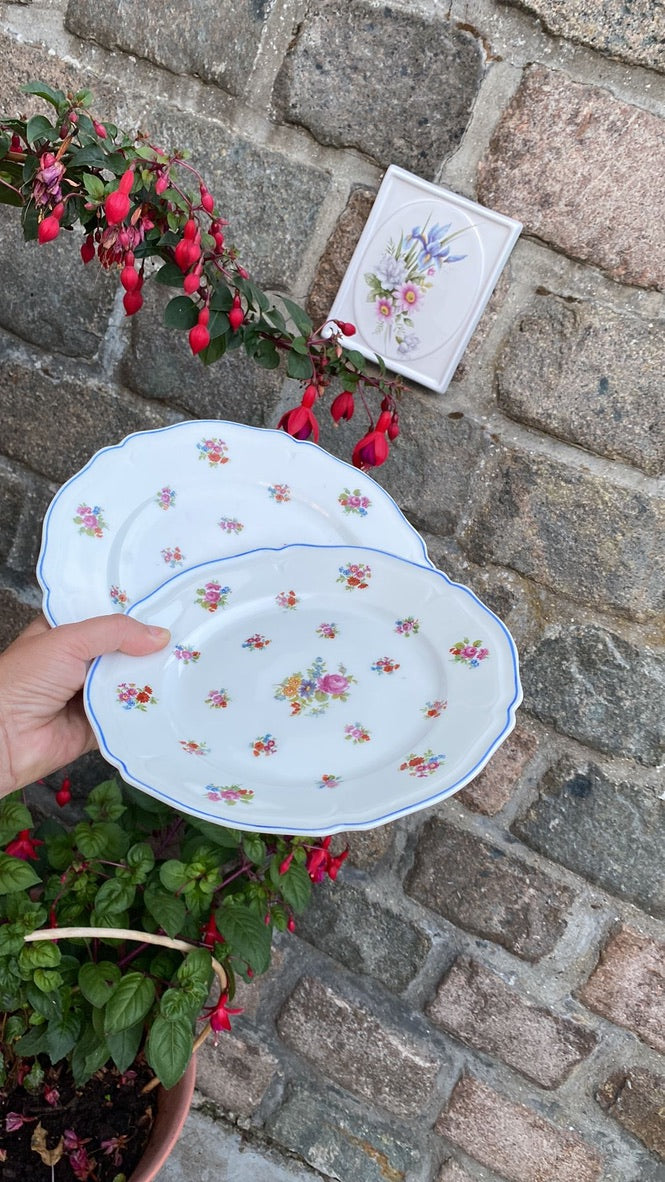 Assiettes Limoges Pallas