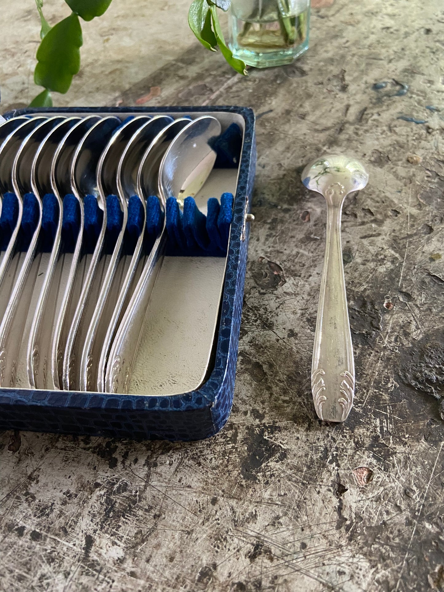 Cuillères à dessert (bleu)