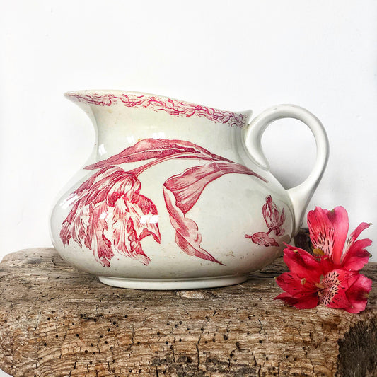 Broc ancien modèle Tulipe