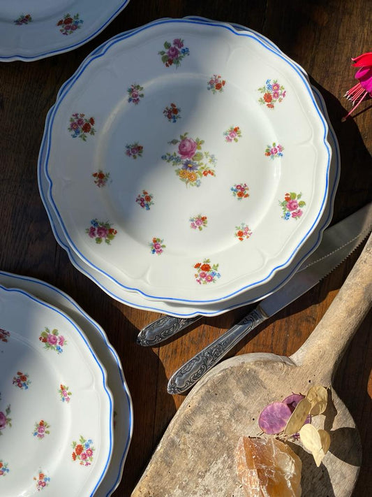 Assiettes Limoges Pallas