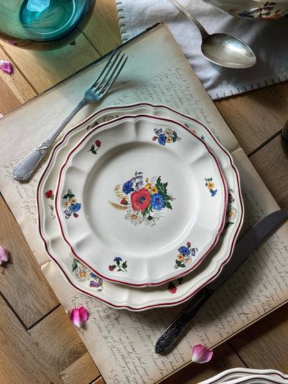 Assiettes Agreste (pour 6)