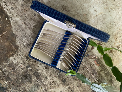 Cuillères à dessert (bleu)