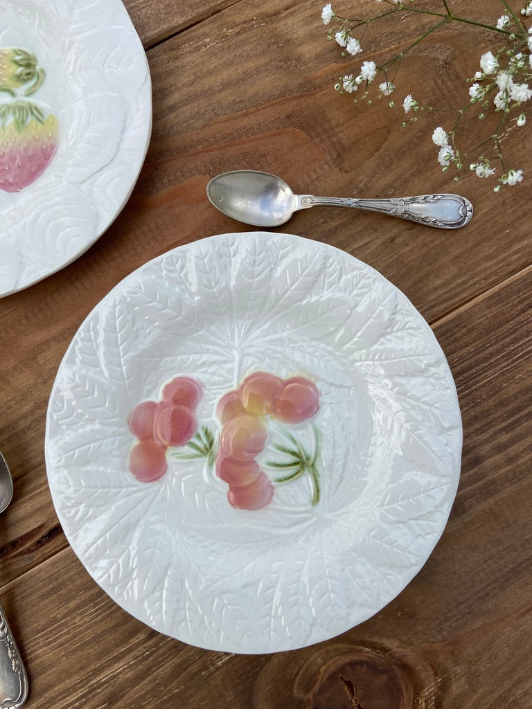 6 Assiettes Majolica Salin