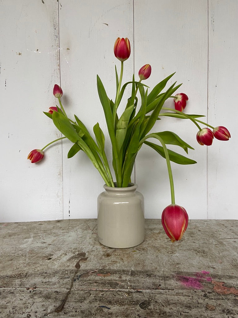 Duo petits pots crème