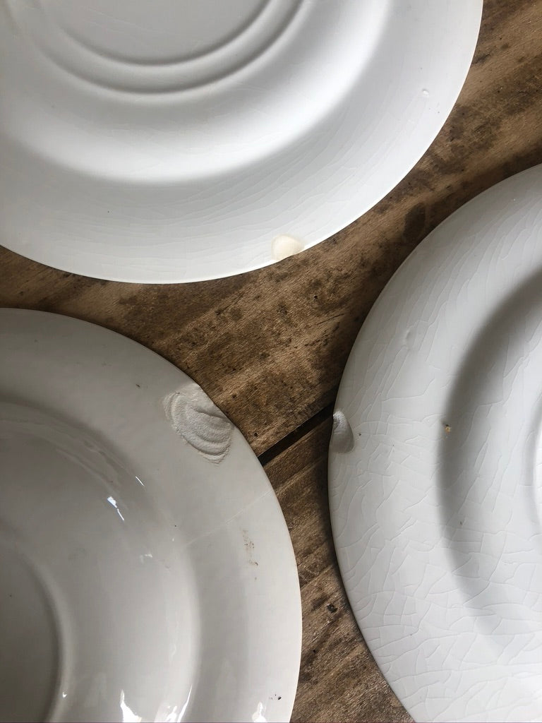 Service anglais vert