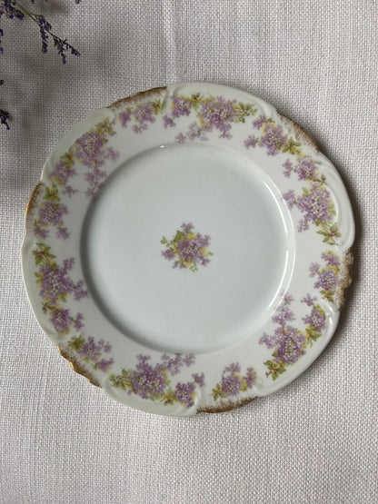 Assiette dessert Porcelaine fine