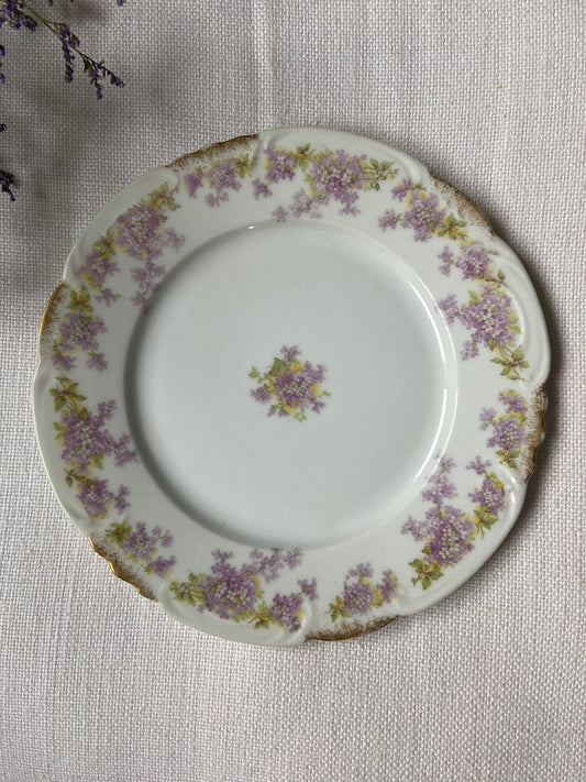 Assiette dessert Porcelaine fine