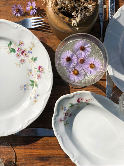 Porcelaine de Bavière