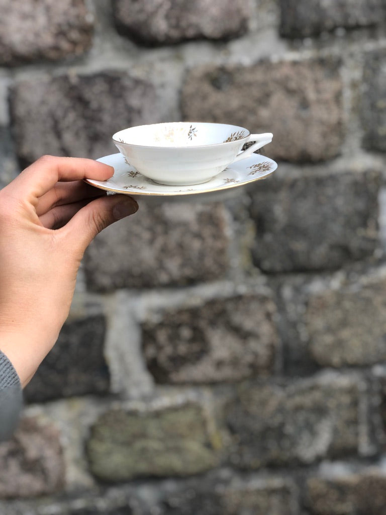 Service Moka Limoges