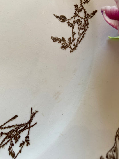 Plate Oiseaux Bruns (terre de fer)