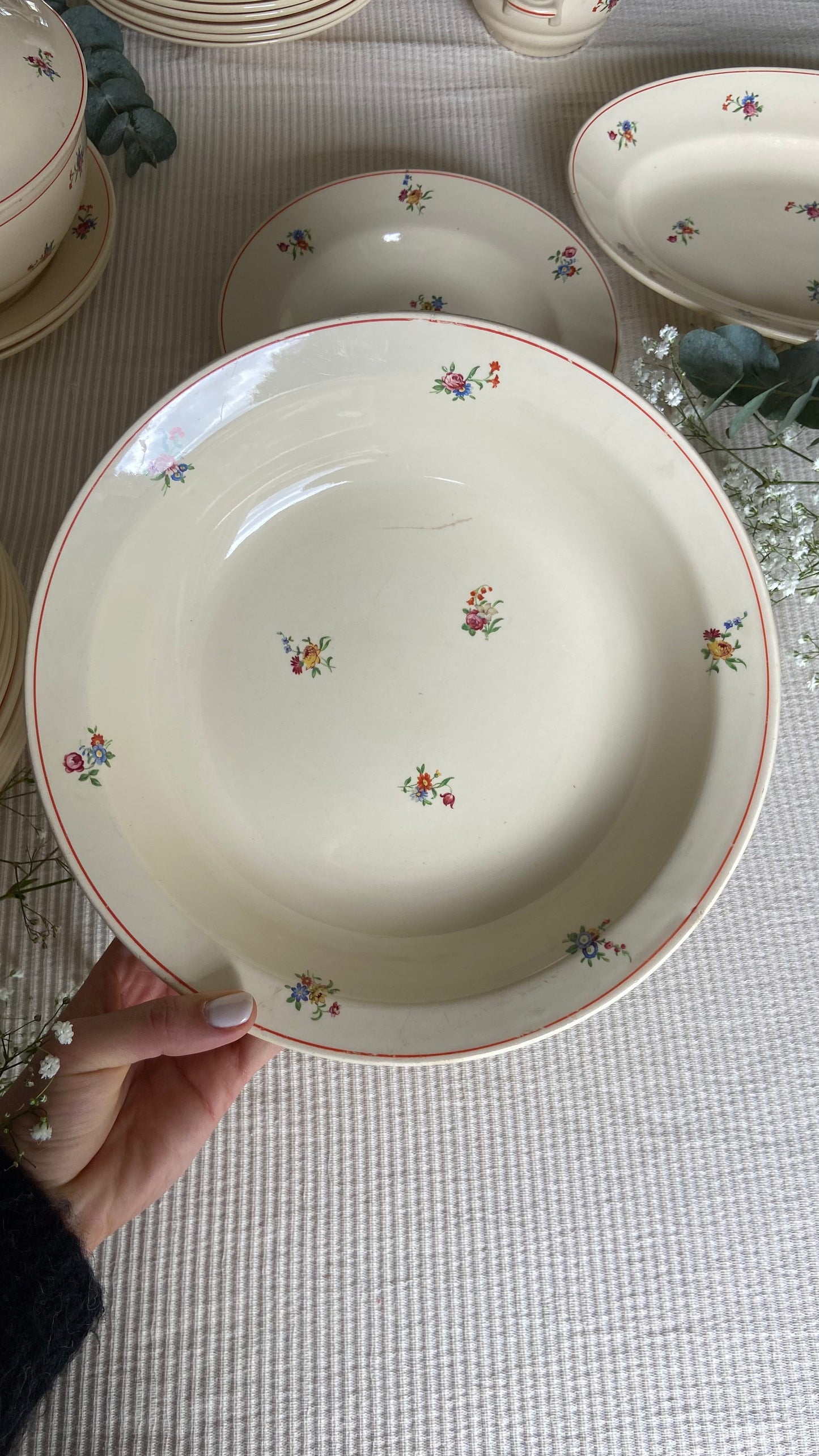 Assiettes & plats Périgord