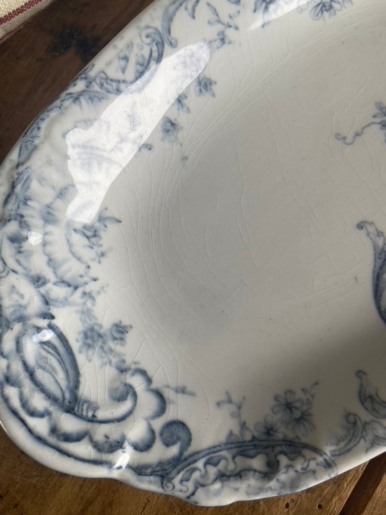 Ravier Ridgways Medici #id8