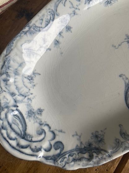 Ravier Ridgways Medici #id8