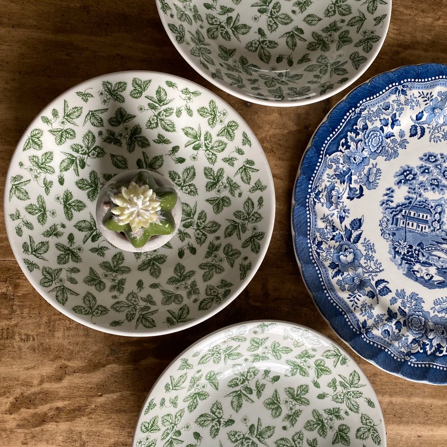 Assiettes anglaises blanc/vert