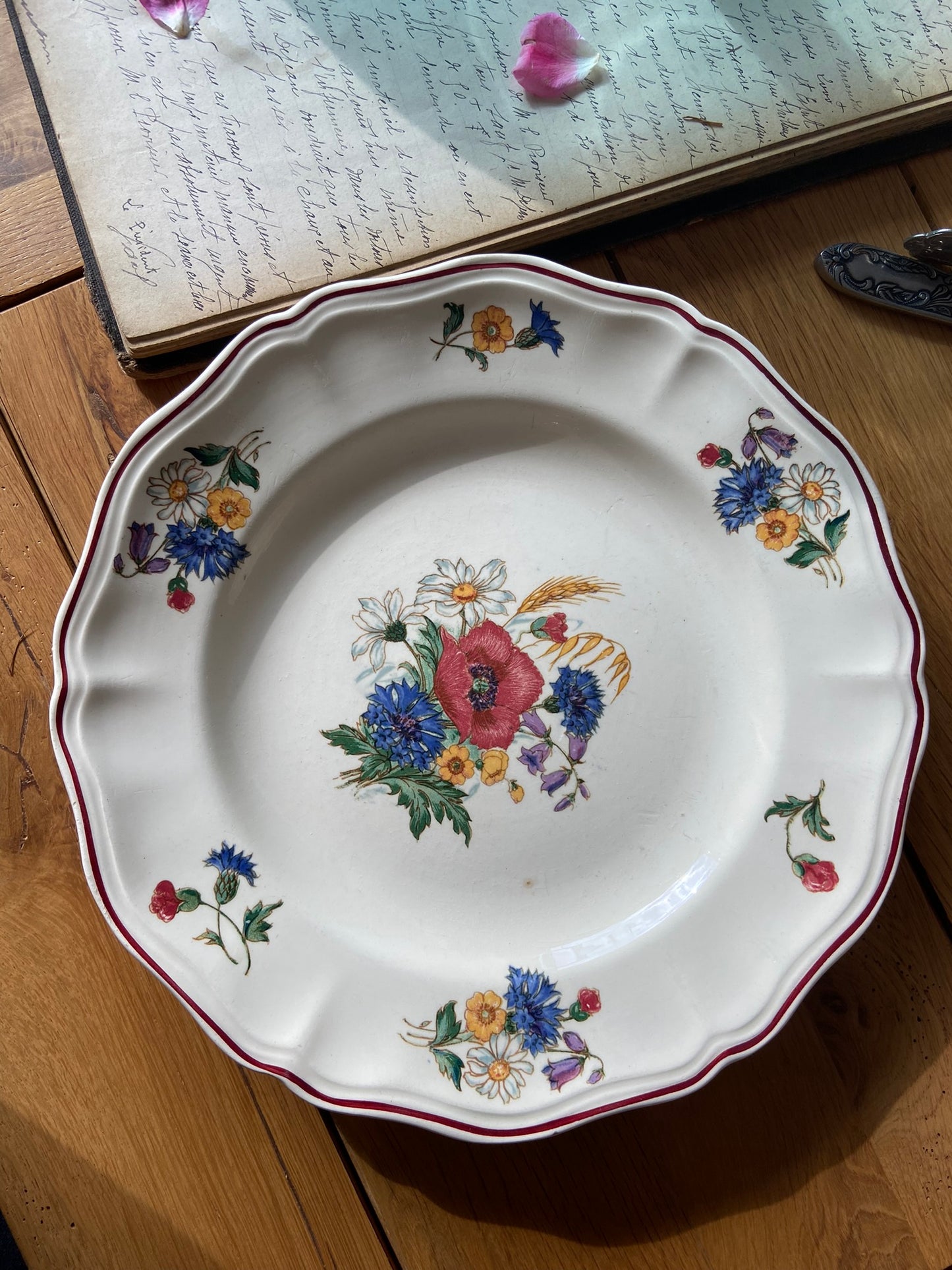 Assiettes Agreste (pour 6)