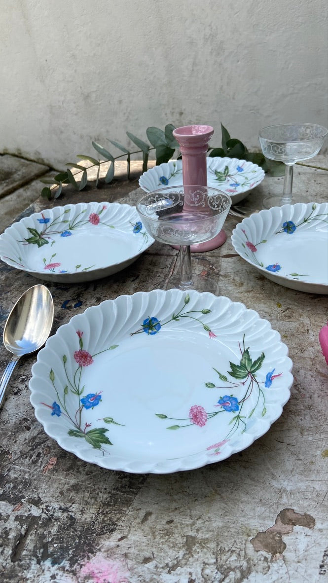 Assiettes Haviland #id17