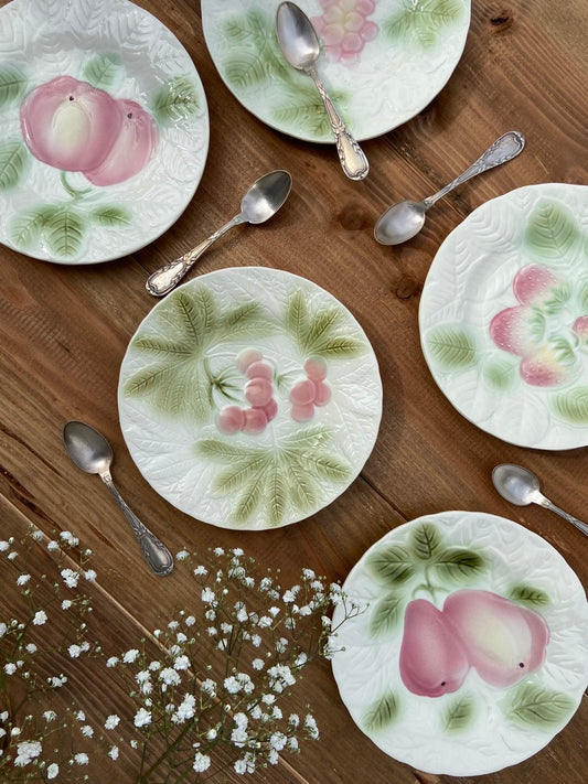 5 Assiettes Majolica Salin