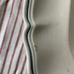 Amazonas Serving Dishes