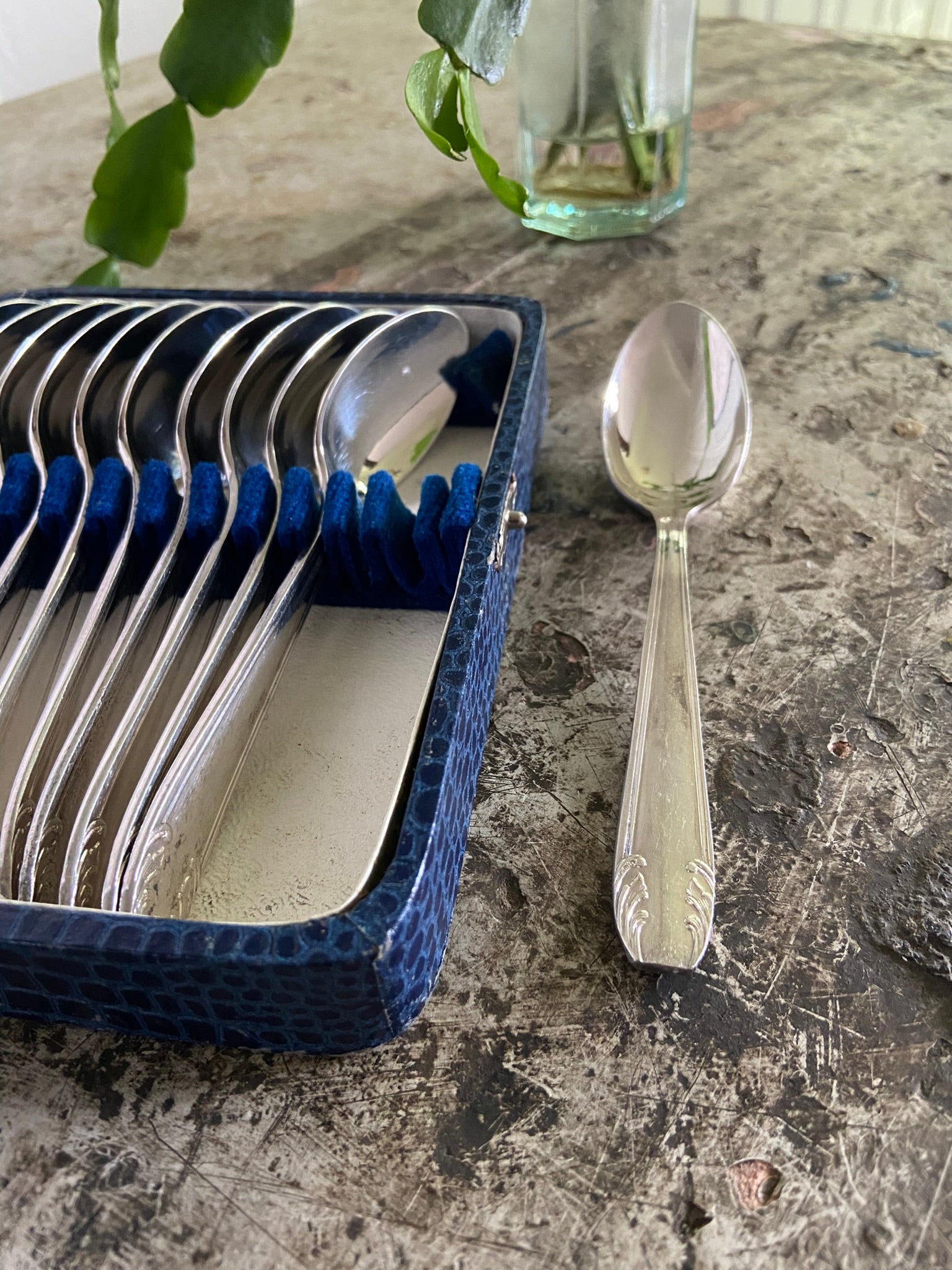 Cuillères à dessert (bleu)