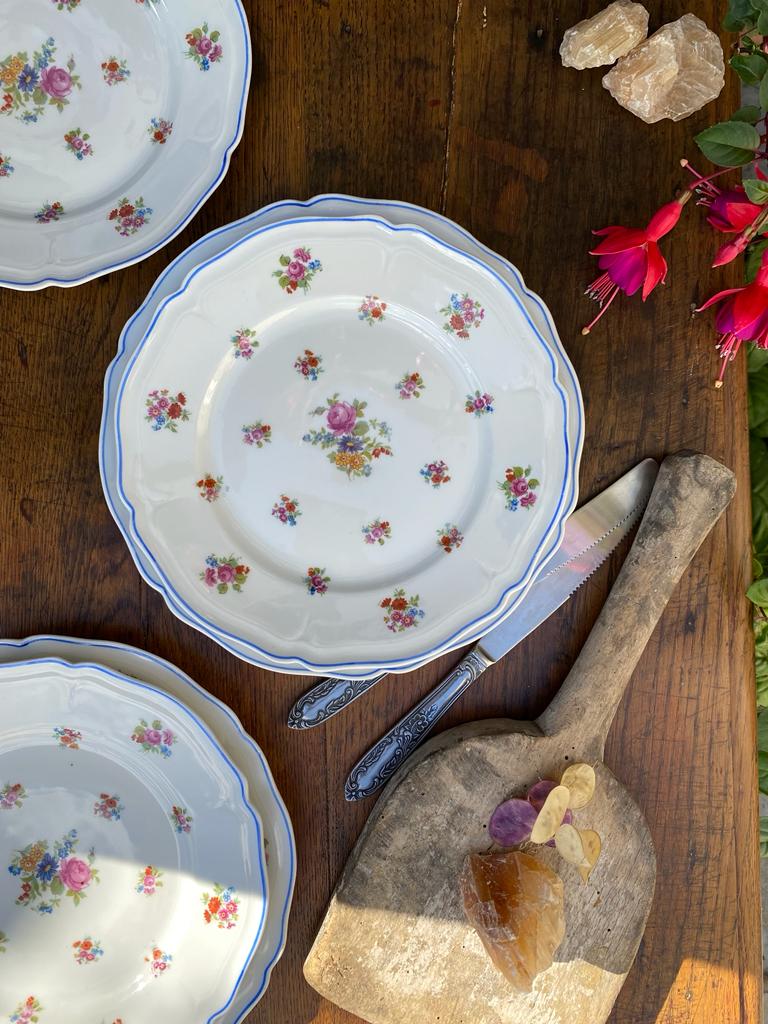 Assiettes Limoges Pallas