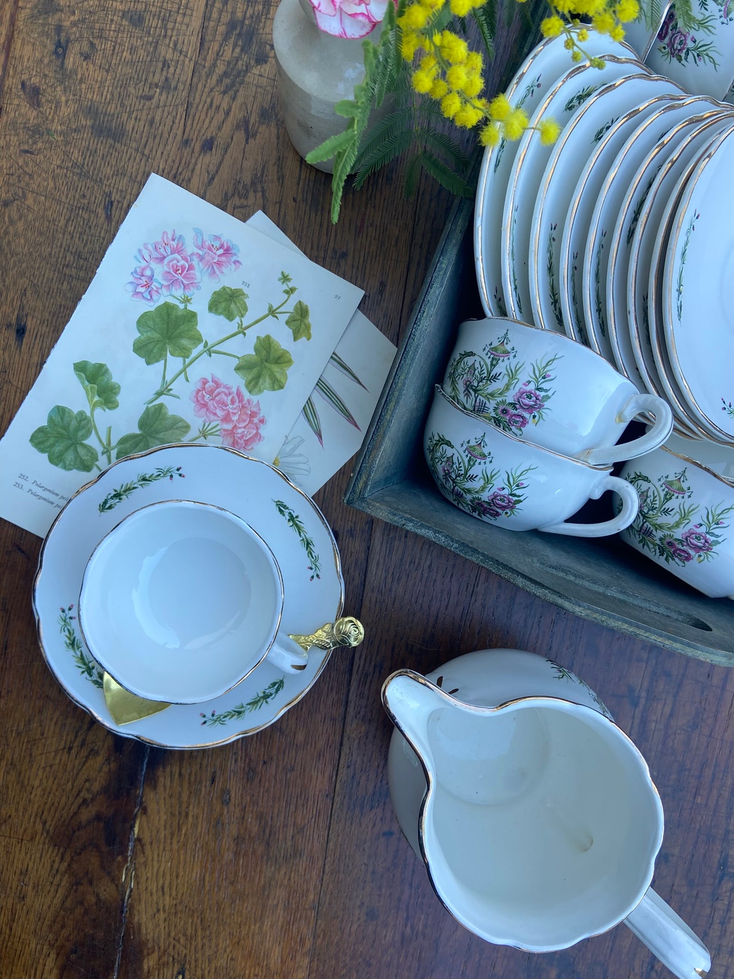 Service Royan, Digoin #id55