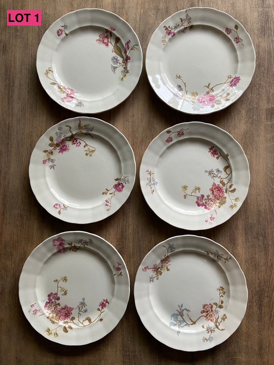 Assiettes Terre de Fer Poulhès