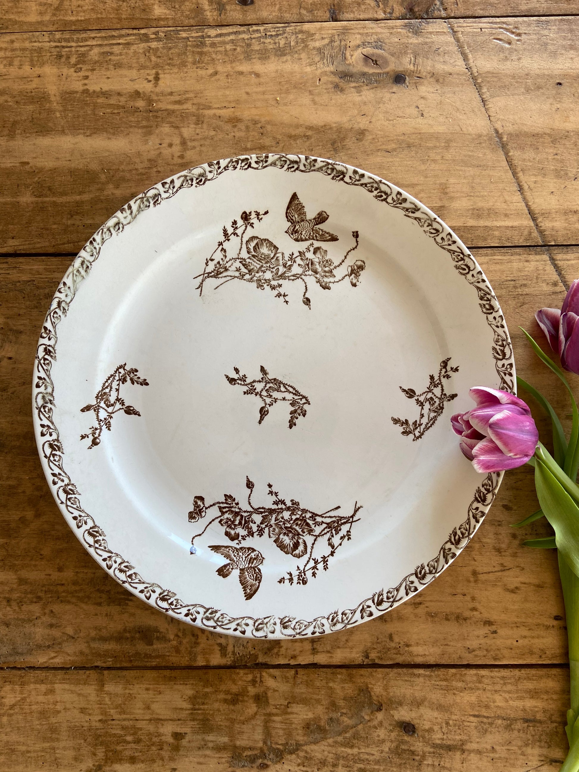 Plate Oiseaux Bruns (terre de fer)