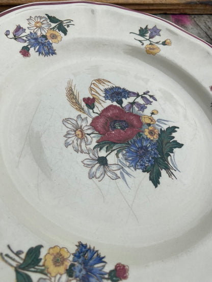 Assiettes Agreste Creuses #id37