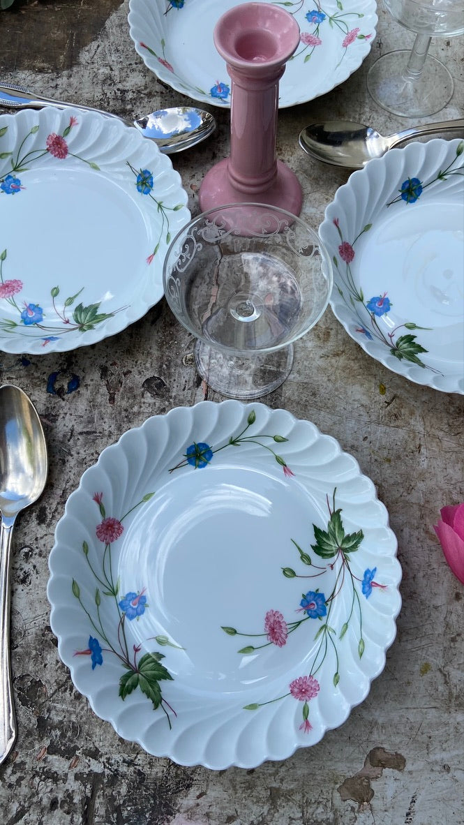 Assiettes Haviland #id17