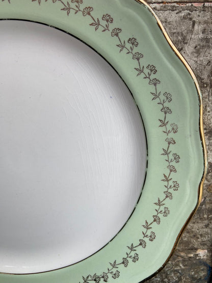 Assiettes Vert d'eau - Amandinoise